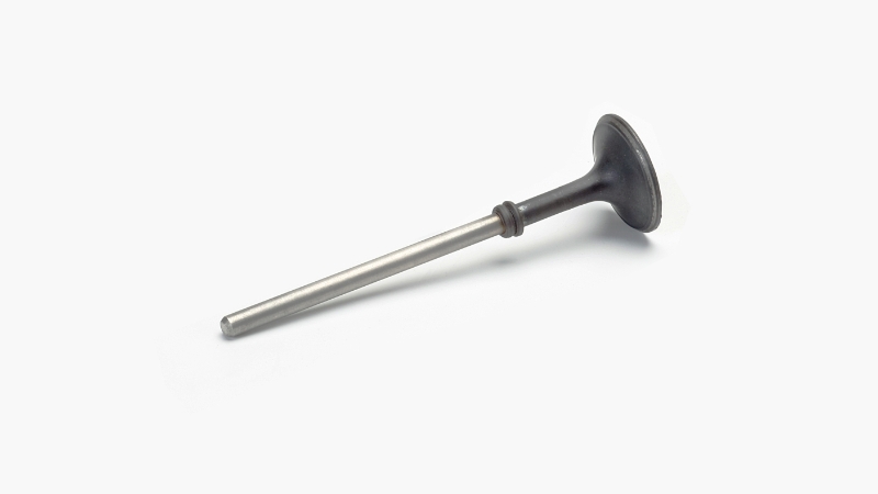 Typical product: engine valves